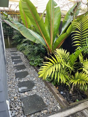 Stroll through the lush garden, surrounded by a variety of tropical plants and a weathered wooden fence.