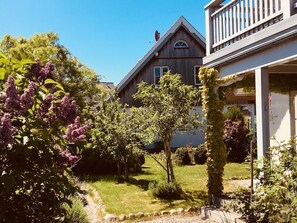 Property grounds - Casa Mare Baltico thatched house (Kalkhorst)