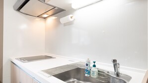 Une cuisine moderne dotée d’un évier en acier inoxydable, d’une hotte intégrée et d’un plan de travail muni d’un distributeur de savon et d’un porte-serviettes en papier.