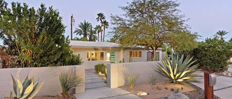 A modern house with a concrete pathway leading to the entrance, surrounded by various desert plants and a large tree.