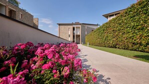 A pathway flanked by vibrant pink flowers and a neatly trimmed hedge, leading to a building with a stone facade and a modern entrance.