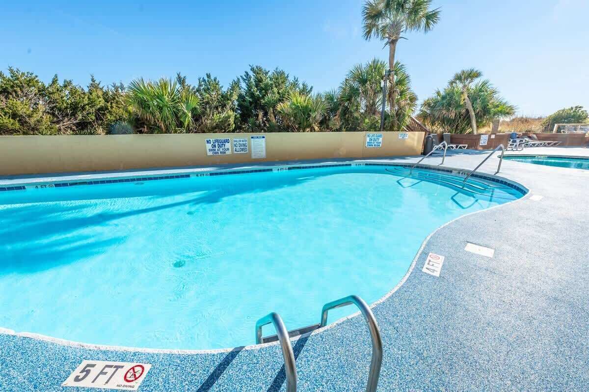 Ein Schwimmbecken mit einem 1,50 Meter tiefen Bereich, in dem das Tauchen nicht erlaubt ist, umgeben von Palmen und blauem Himmel.