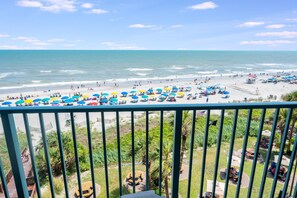 Property grounds - King Bed, Studio Oceanfront, Indoor Heated Pools! (Myrtle Beach)