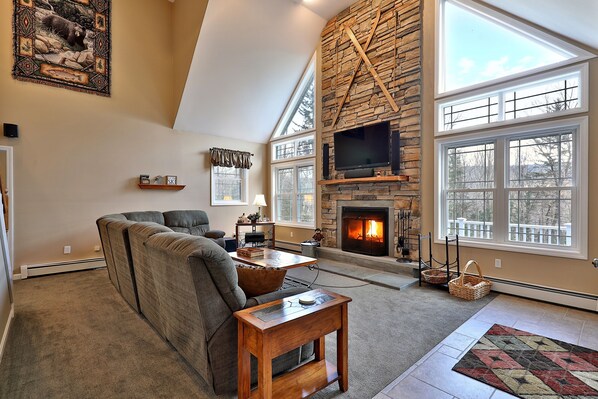 Televisio, takka, DVD-soitin, musiikkikirjasto