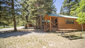 A rustic wooden cabin with a porch and a picnic table, surrounded by trees. - The Blue Spruce Cabin #16 (Bayfield)