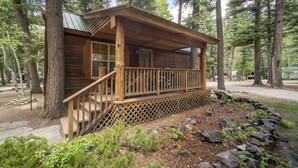 A wooden cabin with a porch, surrounded by trees. - The Iris Cabin #1 Sum (Bayfield)