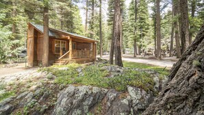 A wooden cabin with a porch and stairs, surrounded by a forest with tall trees and a rocky ground. - The Iris Cabin #1 Sum (Bayfield)