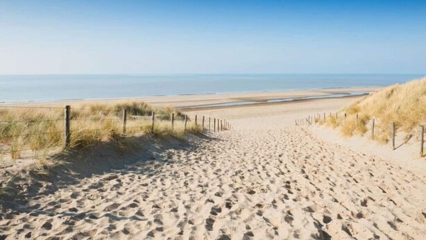 Un sentier de sable qui longe la plage et mène à l’océan, bordé de gazon et de clôtures en bois.