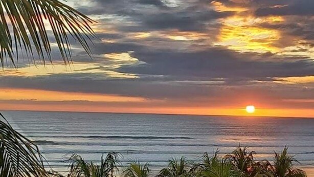 Tramonto sull'oceano con palme sullo sfondo.