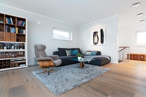 TV, fireplace, books