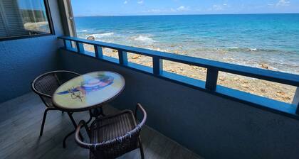 GENERATOR! Ocean-Front Siren's Point - Steps to Pool!