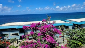 Vue d’un hôtel en bord de mer, avec une piscine et, au premier plan, de magnifiques fleurs de bougainvillier aux couleurs vives.
