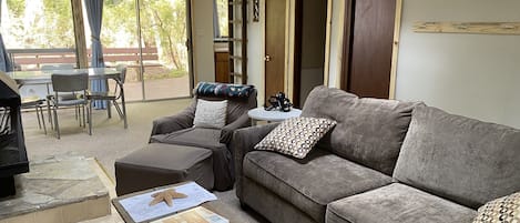 Smart TV, fireplace, video games, DVD player