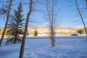 A snowy landscape with birch trees and a mountain in the background.