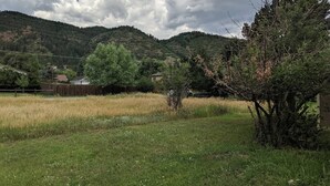 Un paysage rural avec un champ d’herbe, une clôture en bois et un arbre.
