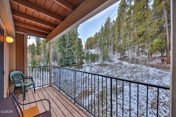 Property grounds - Walk to Downtown Winter Park! 2BR 2BA Pool, 3 Hot Tubs, Free Shuttle, Sleeps 6 (Winter Park)