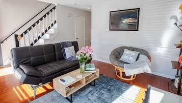 Smart TV, chimenea, libros