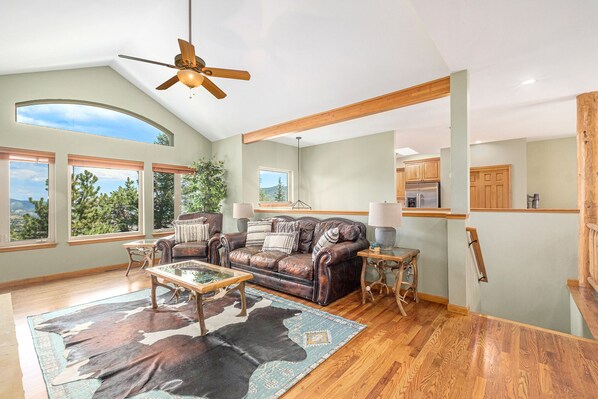 Smart TV, chimenea, libros