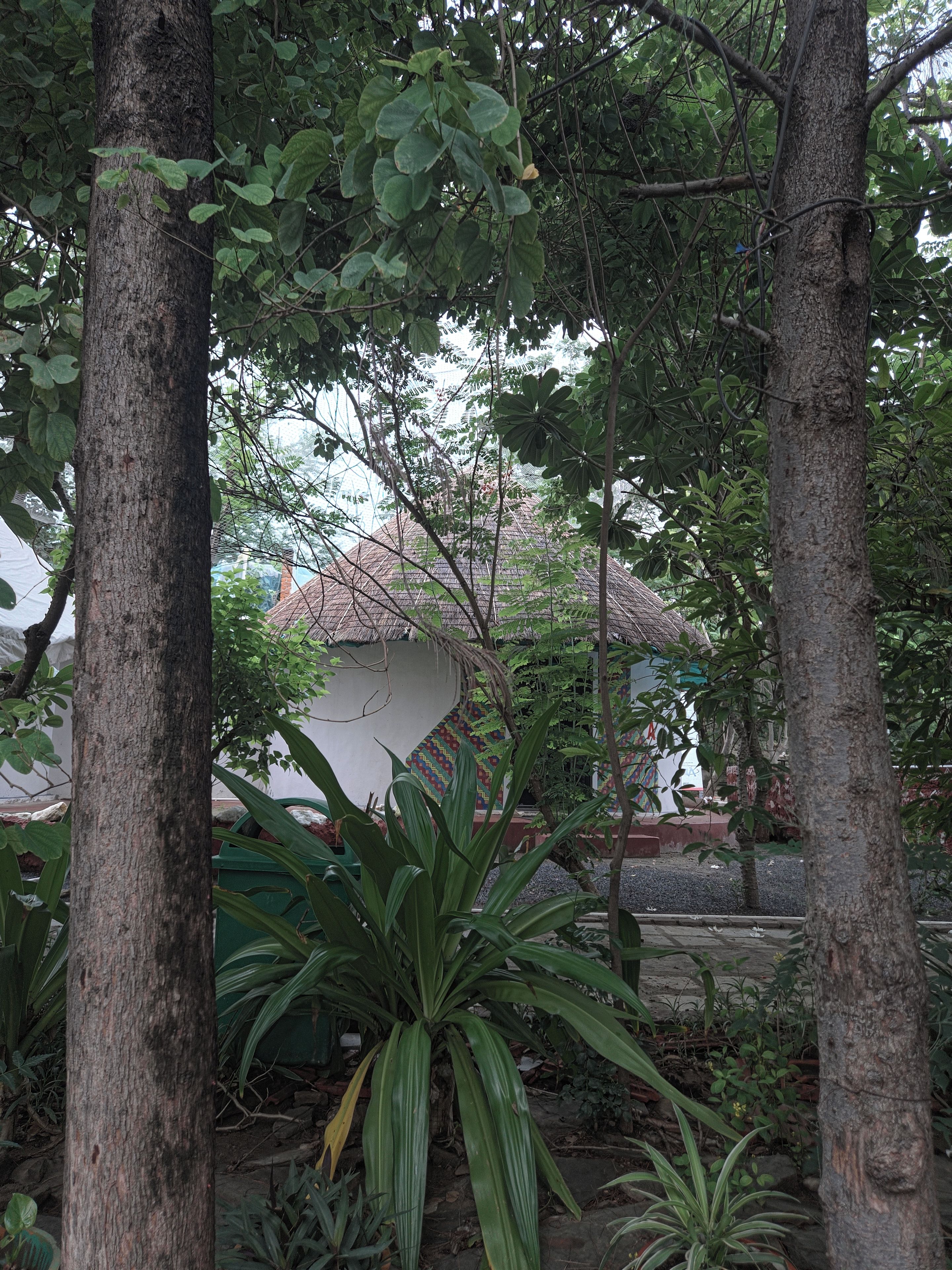 A garden area with trees and a building with a colorful wall in the background.