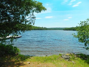 Un lac avec un quai et une végétation luxuriante tout autour.