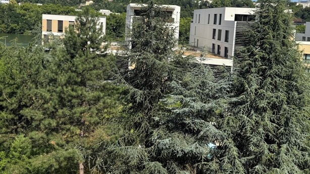 A modern building complex with a mix of residential and commercial structures, surrounded by dense greenery and trees.