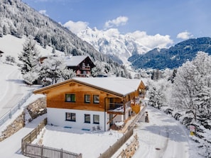 Exterior - Villa with mountain views (Werfenweng)