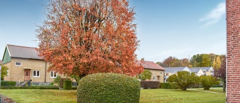 Un quartier résidentiel avec une pelouse bien entretenue, une haie et un bâtiment en briques.