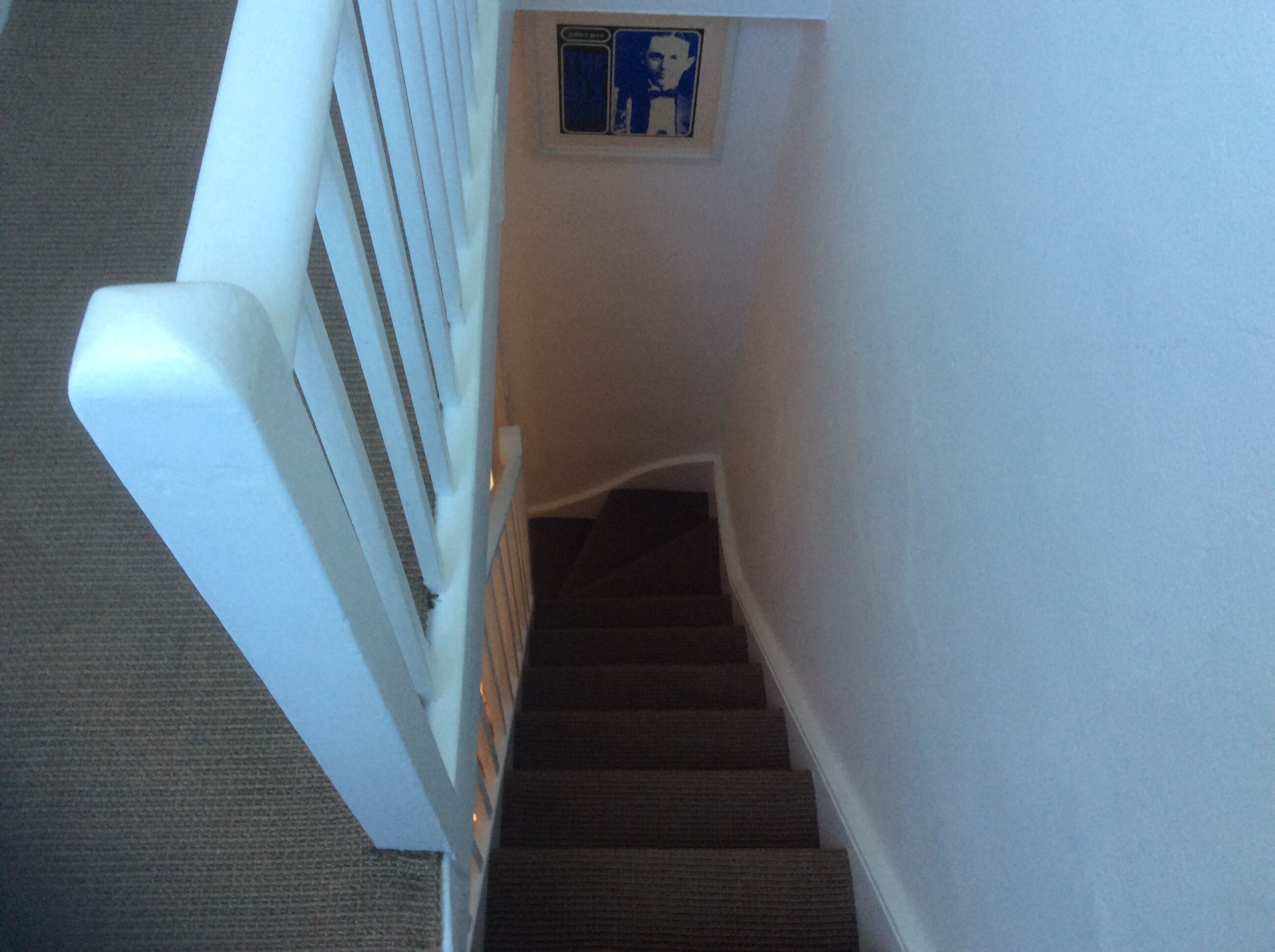 A carpeted staircase with a white handrail and a blue emergency exit sign.