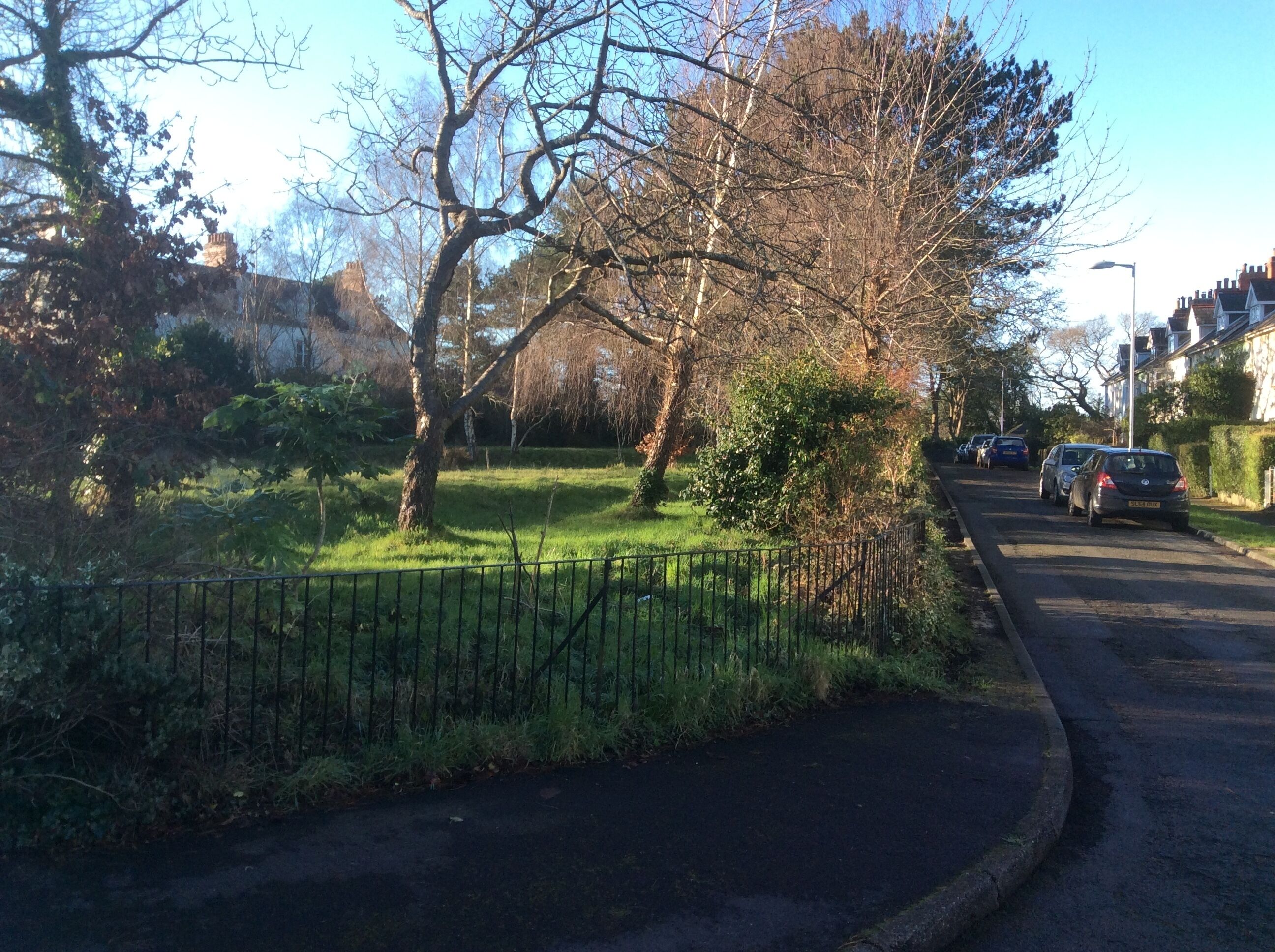 Una calle residencial con casas en un lado y un área verde con árboles en el otro.