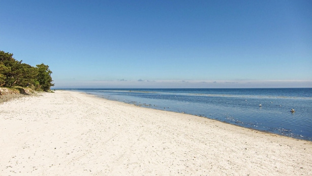 Ein breiter Sandstrand mit klarem, blauem Wasser und einer Baumreihe links.