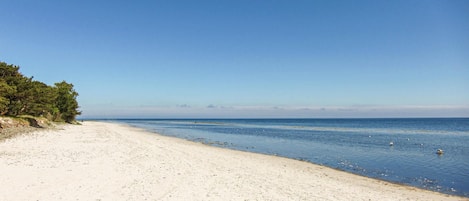 Plage à proximité