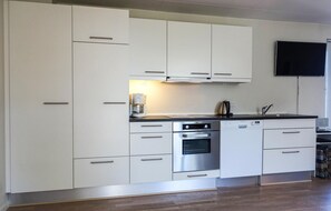 Fridge, stovetop, dishwasher