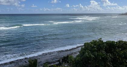 5 min walk to a beautiful beach and a big shady park! 25min walk to Old San Juan
