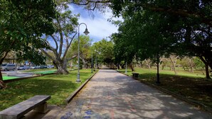 Ein Parkpfad, gesäumt von Bäumen und Bänken, mit einer Radspur links und einem gepflasterten Gehweg rechts.