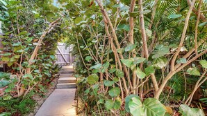 A pathway surrounded by lush greenery and a wooden fence.