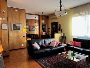 TV, fireplace, DVD player, books