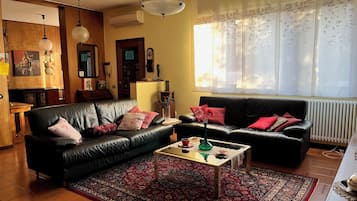 TV, fireplace, DVD player, books