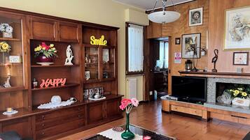 TV, fireplace, DVD player, books