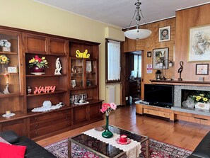 TV, fireplace, DVD player, books - Cà dei Girasoli (Segrate)