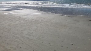 Uma praia com areal arenoso e vista para o oceano sob um céu nublado.