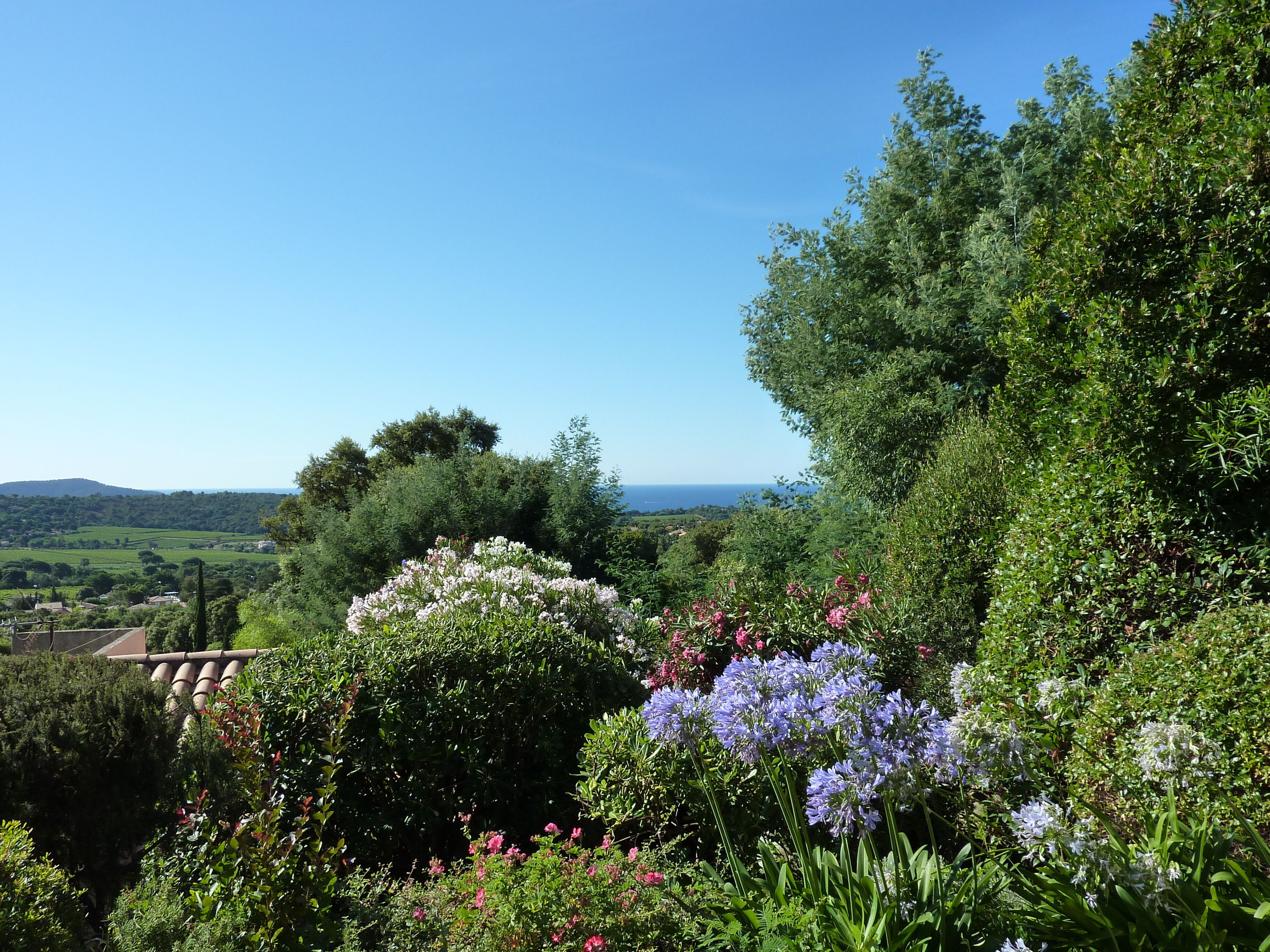 Ein üppiger Garten mit verschiedenen Blumen und Blick auf die Landschaft.