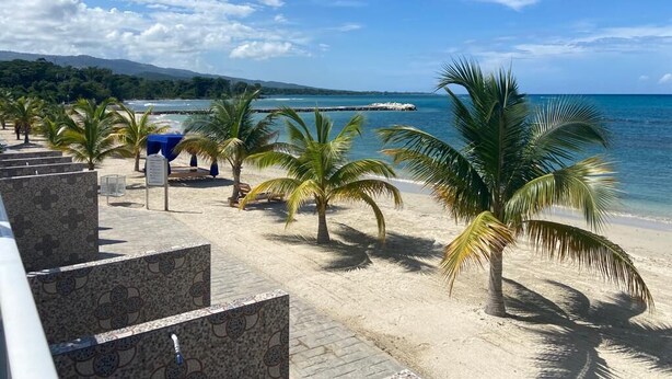 A beachside view with palm trees, a clear sky, and a calm sea. - Modern, chic waterfront 3-bedroom villa w/ pool (Saint Ann's Bay)
