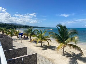 A beachside view with palm trees, a clear sky, and a calm sea.