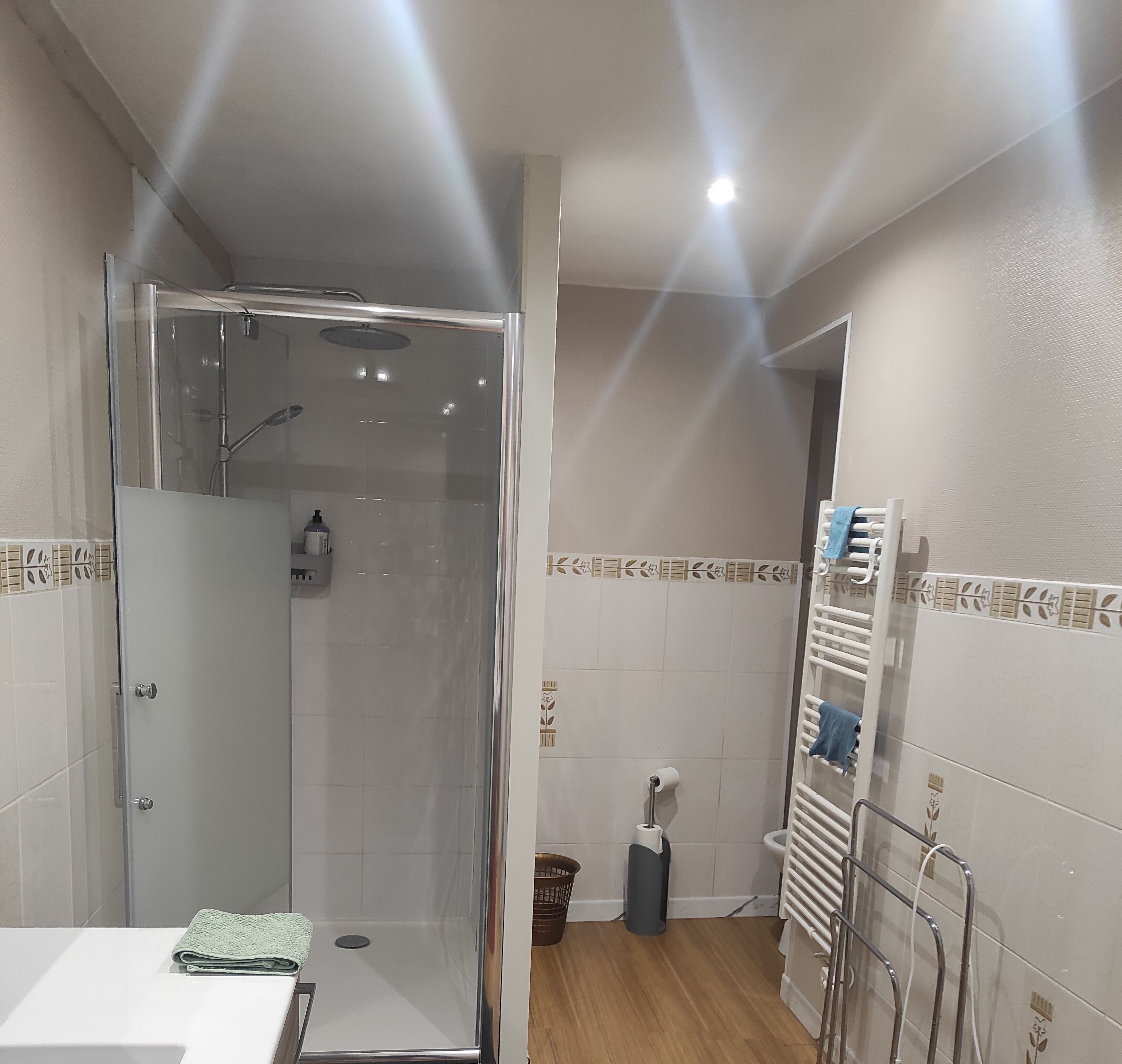 Dusche, Haartrockner, Handtücher, Seife