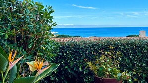 Ein üppiger Garten mit Blick auf den Ozean.