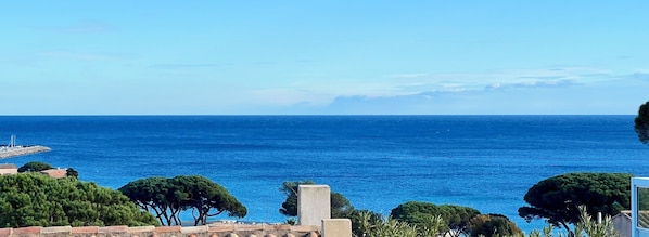 Vista dalla struttura