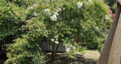 “The Almost” A dog friendly, beach getaway