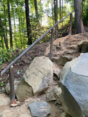 Hike through the dense forest, following the marked trail supported by sturdy handrails.