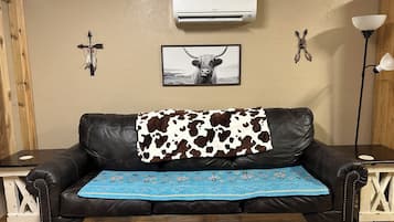 Smart TV, DVD player, livros