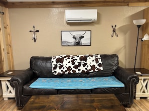 Smart TV, DVD player, books